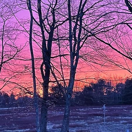 Blueberry Fields Bed & Breakfast Jefferson Buitenkant foto