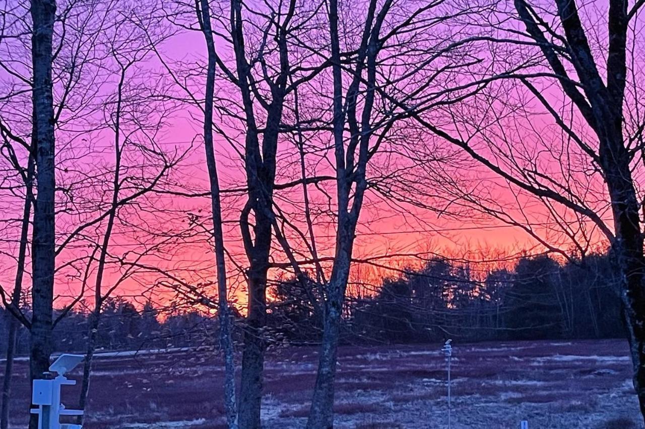 Blueberry Fields Bed & Breakfast Jefferson Buitenkant foto