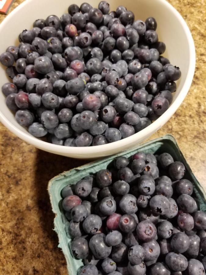Blueberry Fields Bed & Breakfast Jefferson Buitenkant foto