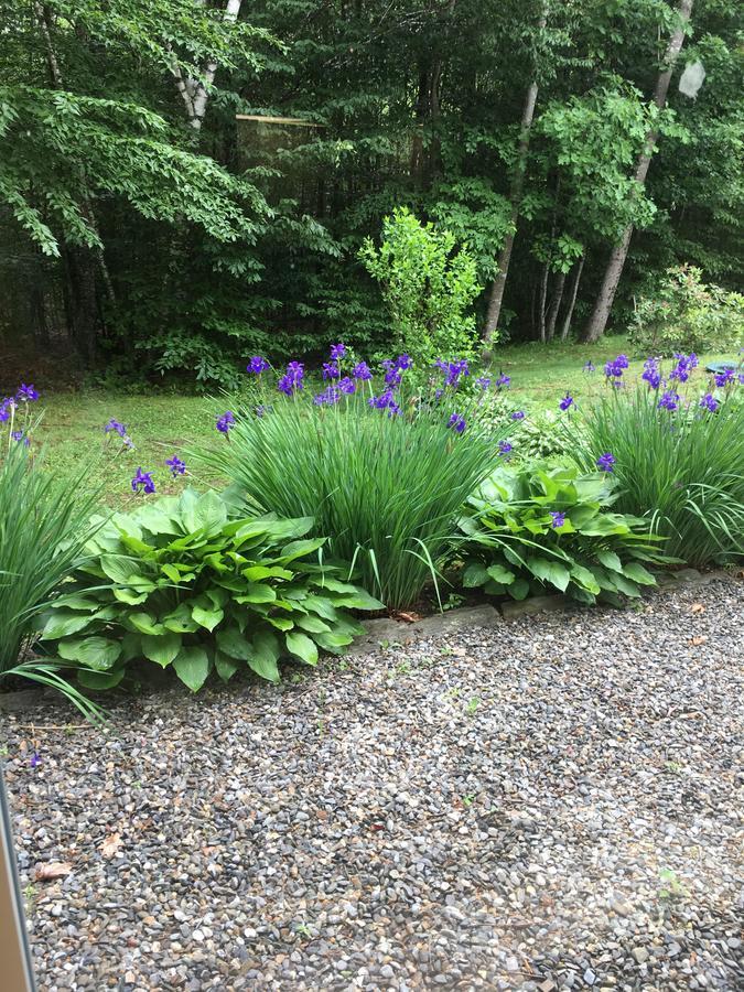 Blueberry Fields Bed & Breakfast Jefferson Buitenkant foto